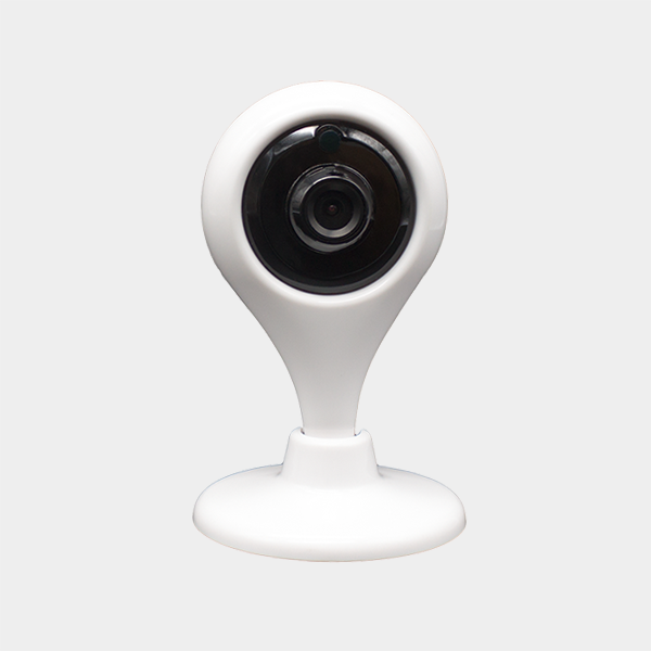 IP CAMERA 801